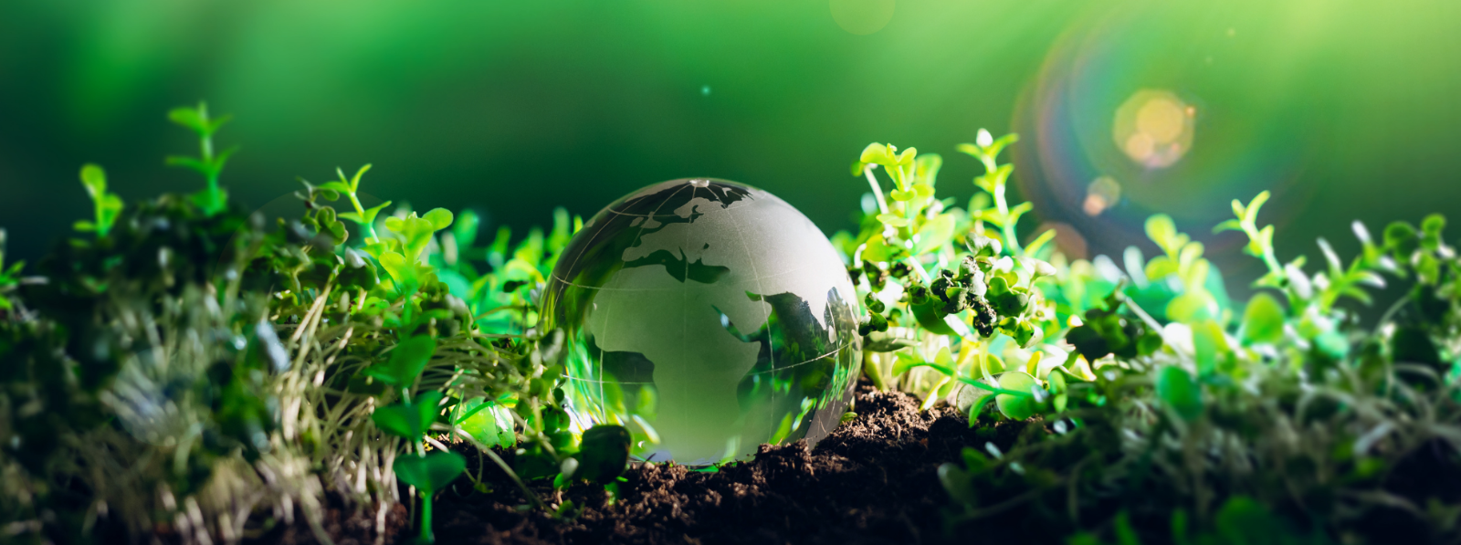 Header image background