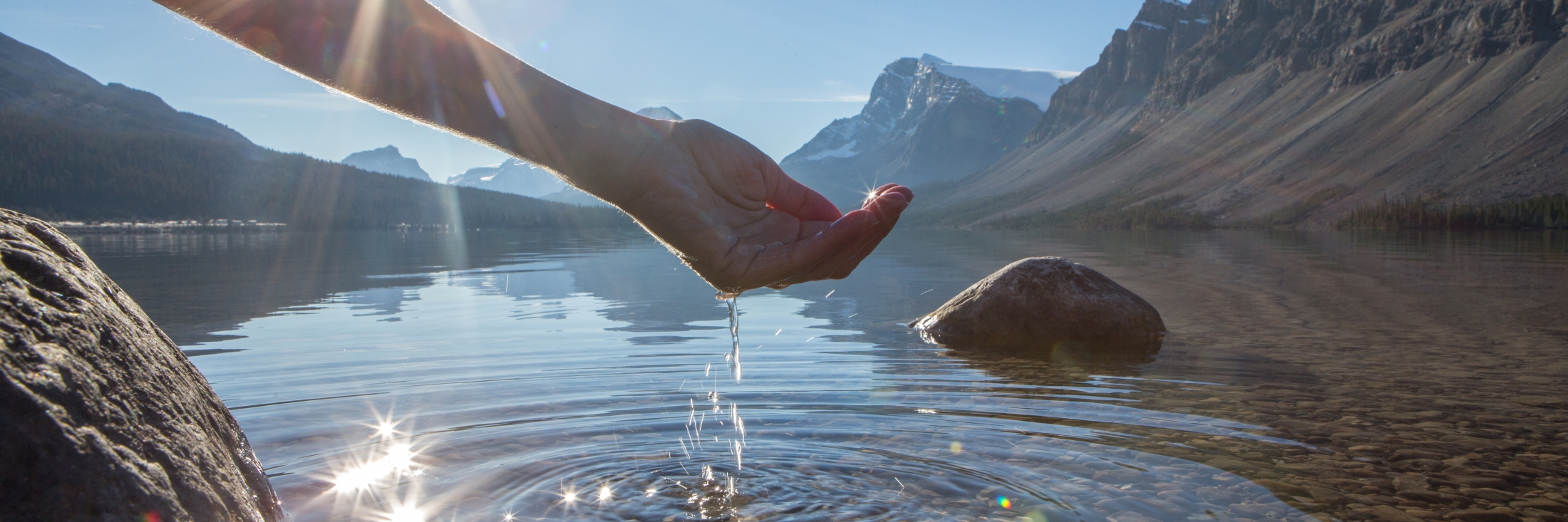 Header image background