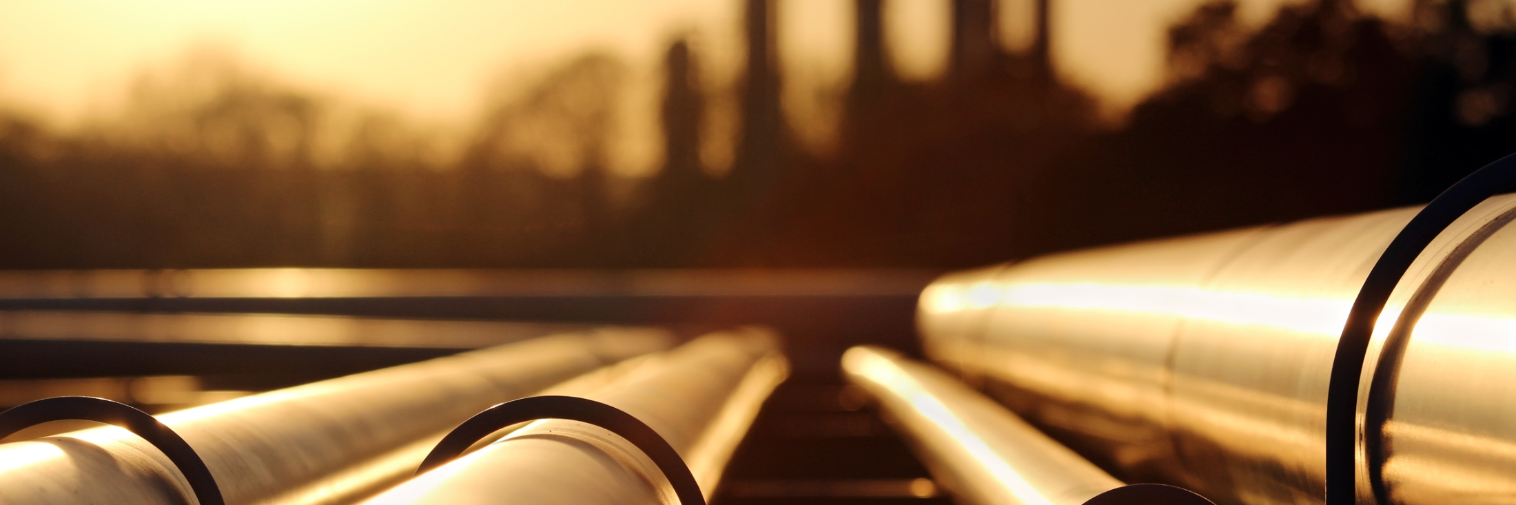 Header image background