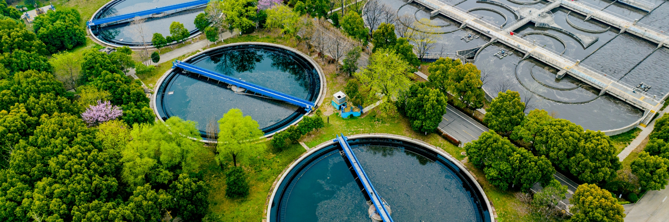 Header image background