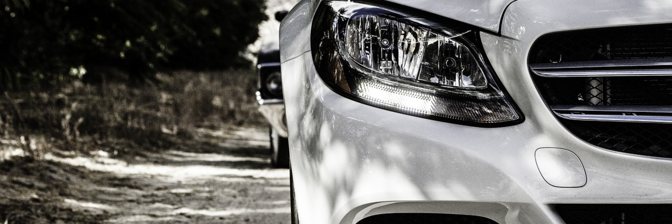 Header image background