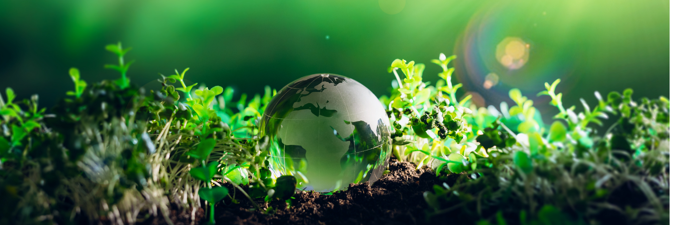 Header image background