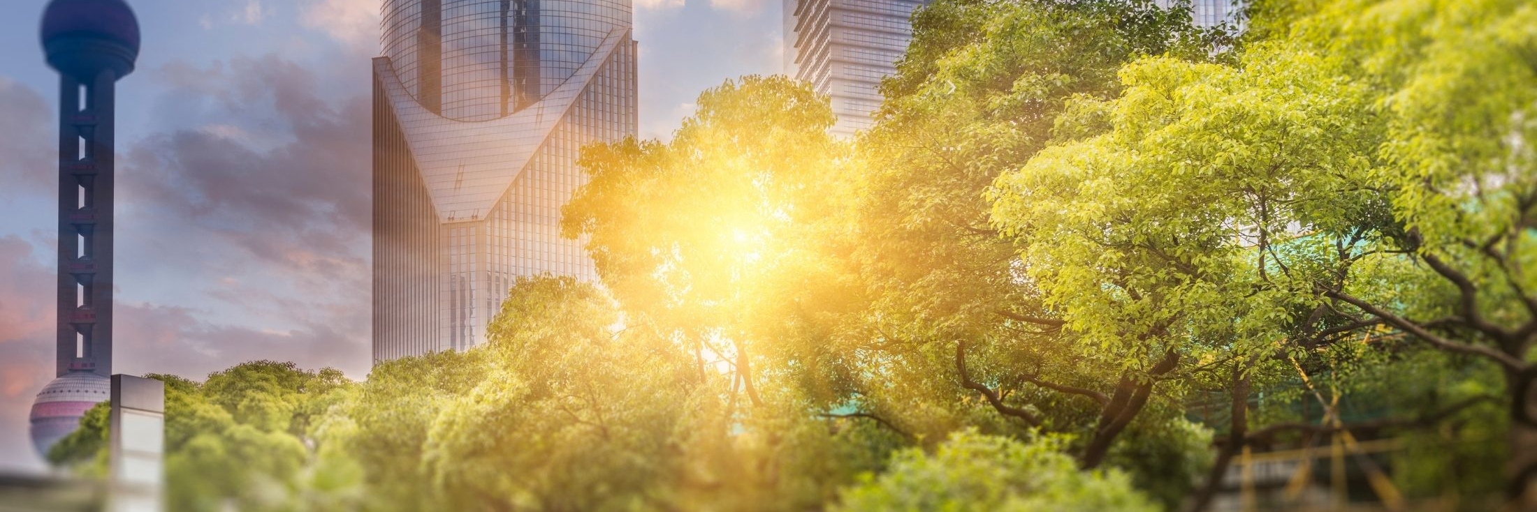 Header image background
