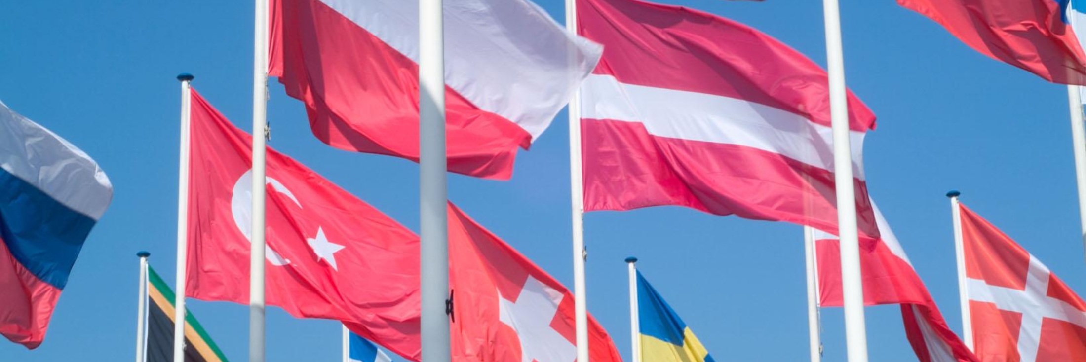 Header image background