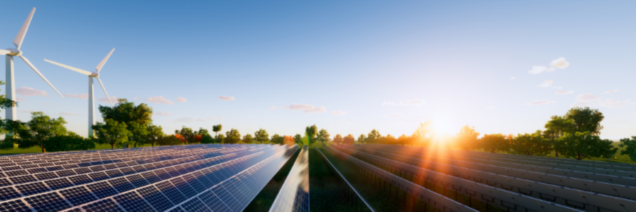 Header image background