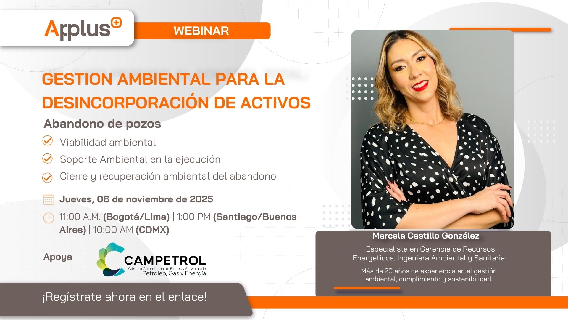 Webinar: Gestión Ambiental para la Desincorporación de Activos